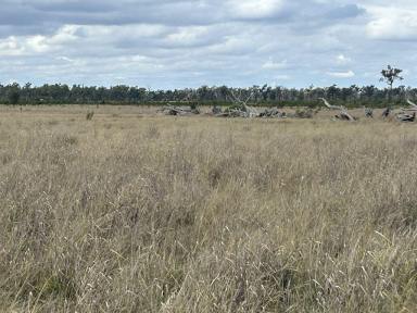 Farm For Sale - QLD - Moonie - 4406 - 'Wattle Vale' - 5,528ac + 2,226ac Leasehold  (Image 2)