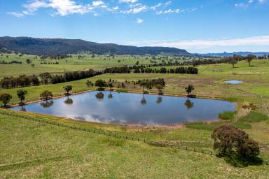 Farm For Sale - NSW - Rylstone - 2849 - RARE LAND OPPORTUNITY ON TOWNS DOORSTEP  (Image 2)