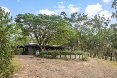 Farm For Sale - QLD - Kandanga Creek - 4570 - Private Sanctuary with Breathtaking Surroundings  (Image 2)