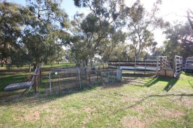 Farm For Sale - VIC - Rochester - 3561 - 50 ACRES WITH BUILDING PERMIT  (Image 2)