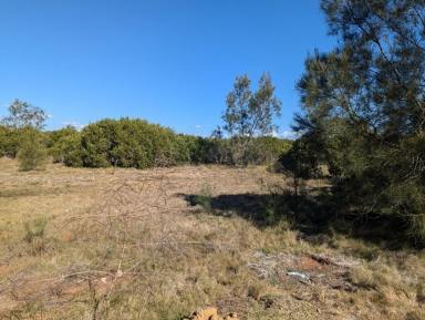 Farm For Sale - QLD - Mango Hill - 4509 - 40.5 ACRES of Private Land...Mins to North Lakes...Bruce Highway  (Image 2)