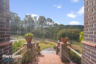Farm For Sale - NSW - Krambach - 2429 - 68 Park like acre setting At Wrenhill  (Image 2)