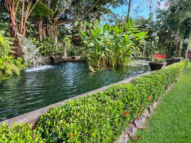 Farm For Sale - QLD - Silkwood - 4856 - A Masterpiece of Tropical Elegance and Historical Grandeur  (Image 2)