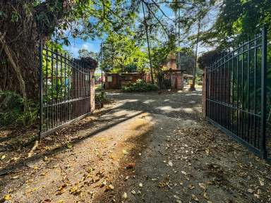 Farm For Sale - QLD - Silkwood - 4856 - A Masterpiece of Tropical Elegance and Historical Grandeur  (Image 2)