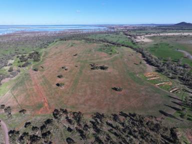 Farm For Sale - NSW - Forbes - 2871 - Unique Property With Plenty Of Feed  (Image 2)