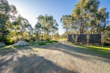 Farm For Sale - VIC - Rushworth - 3612 - Embrace Sustainable Living with Modern Comforts!  (Image 2)