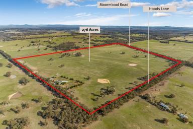 Farm For Sale - VIC - Moormbool West - 3523 - 276 Acres /111 Hectares (Approx) – Homestead, Extensive Shedding and Abundant Water  (Image 2)