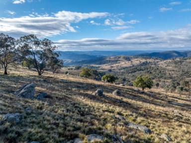 Farm For Sale - NSW - Bigga - 2583 - Decca Views  (Image 2)