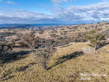 Farm For Sale - NSW - Bigga - 2583 - Decca Views  (Image 2)