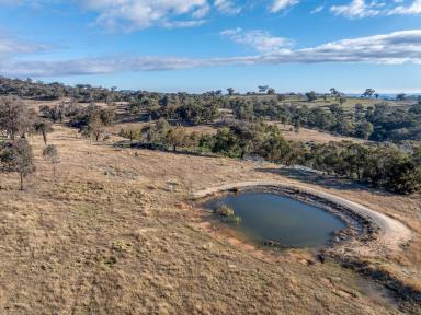 Farm For Sale - NSW - Bigga - 2583 - Decca Views  (Image 2)