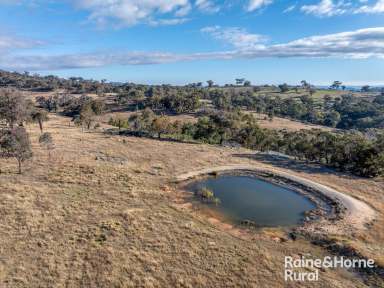 Farm For Sale - NSW - Bigga - 2583 - Decca Views  (Image 2)