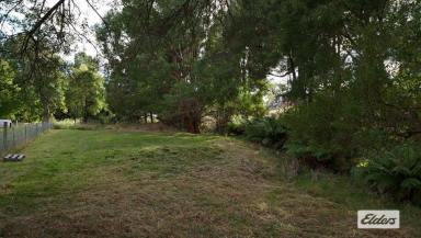 Farm For Sale - TAS - Penguin - 7316 - 1-ACRE BUILDING BLOCK  (Image 2)