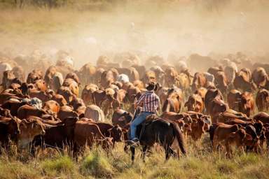 Farm For Sale - WA - Derby - 6728 - Unique flood out system - Breed, Fatten and Grow  (Image 2)