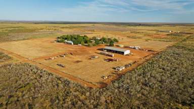 Farm For Sale - WA - Derby - 6728 - Unique flood out system - Breed, Fatten and Grow  (Image 2)