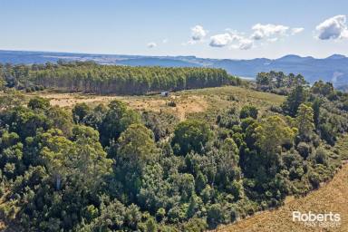 Farm For Sale - TAS - Preston - 7315 - Fantastic views, lifestyle property  (Image 2)