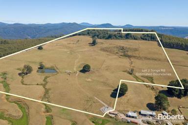 Farm For Sale - TAS - Preston - 7315 - Fantastic views, lifestyle property  (Image 2)