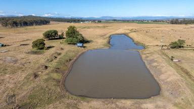 Farm For Sale - QLD - Laravale - 4285 - Prime Logan River irrigation plus 100ML water allocation  (Image 2)