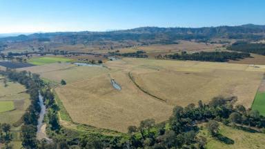 Farm For Sale - QLD - Laravale - 4285 - Prime Logan River irrigation plus 100ML water allocation  (Image 2)