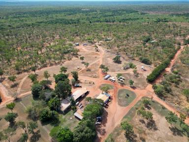 Farm For Sale - NT - Douglas-daly - 0822 - IRRIGATED CROPPING DEVELOPMENT OPPORTUNITY  (Image 2)
