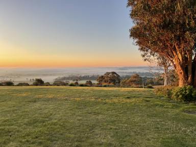 Farm For Sale - TAS - Bridport - 7262 - Captivating panoramic views  (Image 2)