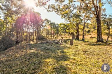 Farm For Sale - NSW - Taylors Flat - 2586 - Scenic and Private Bush Block  (Image 2)