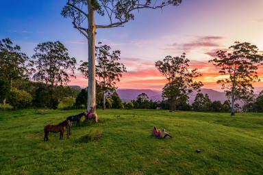 Farm For Sale - QLD - Tamborine Mountain - 4272 - RIGHT ON TOP OF THE MOUNTAIN – PRIVATE CONTEMPORARY COUNTRY RESIDENCE WITH SPECTACULAR VIEWS - 5 MINUTE FLAT DRIVE TO SHOPS, SCHOOLS, CAFES  (Image 2)