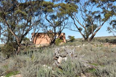 Farm For Sale - SA - Sedan - 5353 - ATTRACTIVE BUSH BLOCKS  (Image 2)