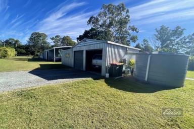 Farm For Sale - QLD - Tiaro - 4650 - GET THE BEST OF BOTH WORLDS WITH THIS ONE!  (Image 2)