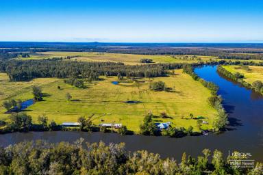 Farm For Sale - NSW - Limeburners Creek - 2444 - Island Dream: Unique Rural Property on the Maria River  (Image 2)
