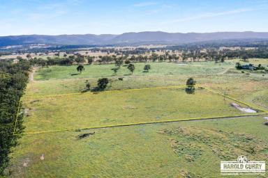 Farm For Sale - NSW - Tenterfield - 2372 - 'Moreview' .....  (Image 2)
