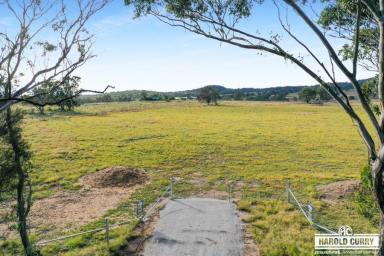 Farm For Sale - NSW - Tenterfield - 2372 - 'Moreview' .....  (Image 2)