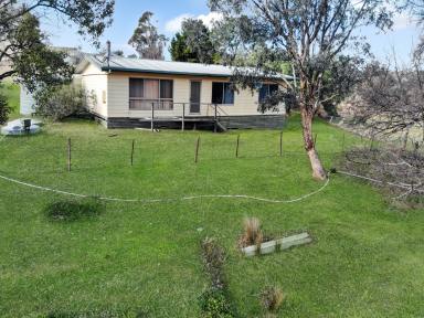 Farm For Sale - NSW - Adelong - 2729 - 2 Acres!  (Image 2)