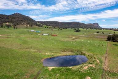 Farm For Sale - NSW - Rylstone - 2849 - "Hoppynge Farm"  (Image 2)