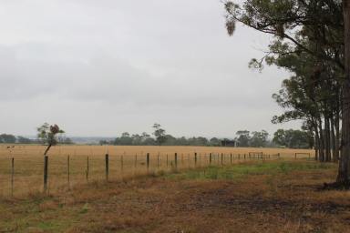 Farm For Sale - VIC - Yarram - 3971 - 4.78 HECTARES (12 ACRES) OF LAND WITH 2 ROOMED BUNGALOWS. 3 MINUTES DRIVE NORTH OF YARRAM. LIGHTLY TREED PEACEFUL LOCATION  (Image 2)