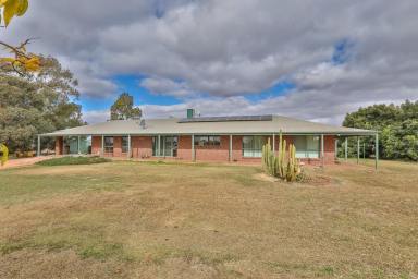 Farm For Sale - VIC - Red Cliffs - 3496 - TRANQUIL LIFESTYLE RETREAT  (Image 2)