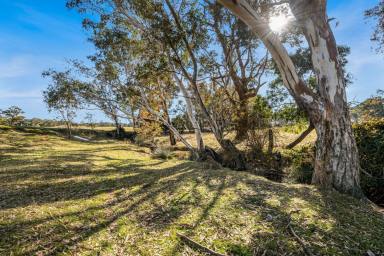 Farm For Sale - VIC - Mandurang South - 3551 - Build Your Dream Country Lifestyle Now - Title, Fully Fenced, Zoned RLZ!  (Image 2)