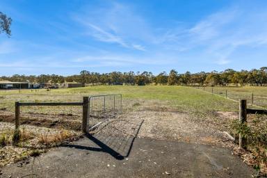 Farm For Sale - VIC - Mandurang South - 3551 - Build Your Dream Country Lifestyle Now - Title, Fully Fenced, Zoned RLZ!  (Image 2)