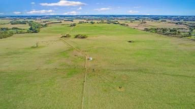 Farm For Sale - VIC - Cudgee - 3265 - Investment and Development country on Warrnambool’s Fringe  (Image 2)