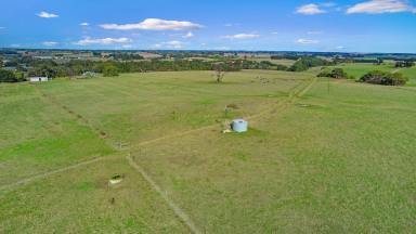 Farm For Sale - VIC - Cudgee - 3265 - Investment and Development country on Warrnambool’s Fringe  (Image 2)
