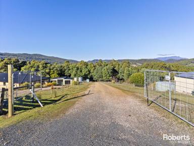 Farm For Sale - TAS - Lower Barrington - 7306 - Escape To The Country  (Image 2)