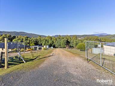 Farm Sold - TAS - Lower Barrington - 7306 - Escape To The Country  (Image 2)