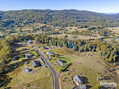 Farm For Sale - TAS - Lower Barrington - 7306 - Escape To The Country  (Image 2)