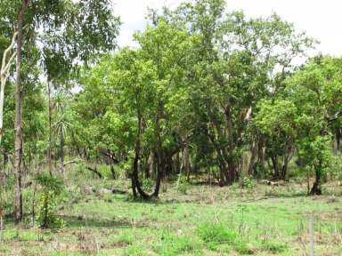 Farm For Sale - NT - Batchelor - 0845 - Loads of Opportunity in Eva Valley  (Image 2)