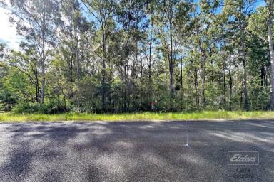 Farm For Sale - QLD - Bauple - 4650 - STATE FOREST AT YOUR DOORSTEP!  (Image 2)