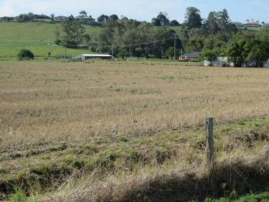 Farm For Sale - NSW - Kyogle - 2474 - KYOGLE INDUSTRIAL ESTATE - MASSIVE REDUCTION IN PRICE  (Image 2)