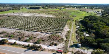 Farm Sold - WA - Muckenburra - 6503 - Prime Opportunity! 94 Acres in an Excellent Location, Close to Coast and City  (Image 2)