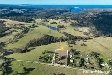 Farm For Sale - NSW - Yatte Yattah - 2539 - Embrace Tranquil Country Living  (Image 2)