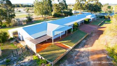 Farm Sold - WA - Muckenburra - 6503 - Very Unique 25-Acre Hobby Farm with 2 Homes Under 1 Roof  (Image 2)