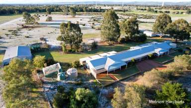 Farm Sold - WA - Muckenburra - 6503 - Very Unique 25-Acre Hobby Farm with 2 Homes Under 1 Roof  (Image 2)