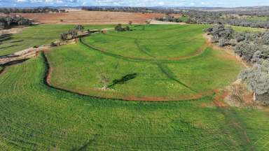 Farm For Sale - NSW - Warialda - 2402 - Wyangarie, Warialda  (Image 2)